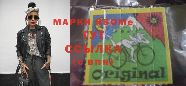 шишки Алзамай