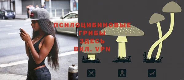 экстази Алексин