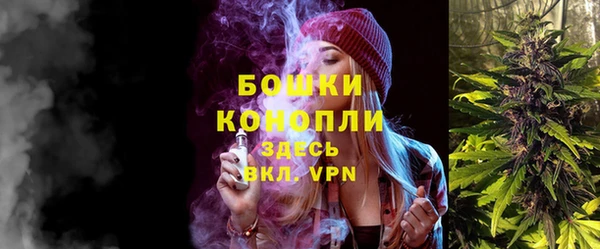 шишки Алзамай