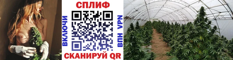 Марихуана White Widow  Омск 